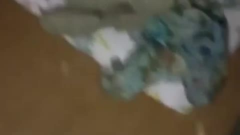 18+ From Inside Of Azovstal