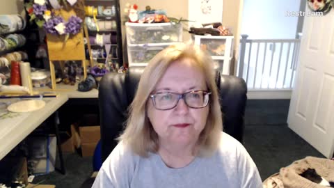 Susan Knowles Channel News/Politics