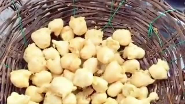 Indian street fried snacks