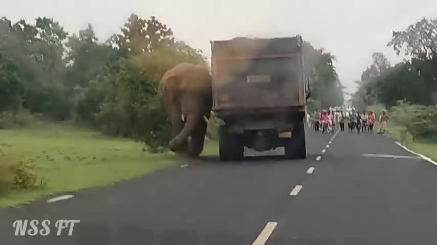 ELEPHANT ATTACK IN ROAD IN INDIA