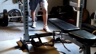 275 x 3.5 reps fail