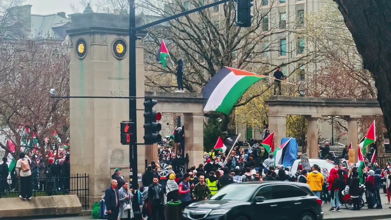 McGill protests for April 29 2024