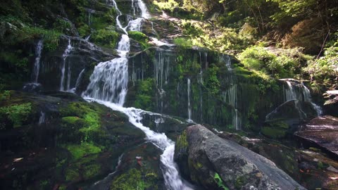 Best Mother Nature Moment Collection Rumbles Choice