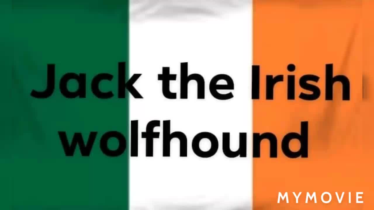 Big truck by. Jack the Irish wolfhound