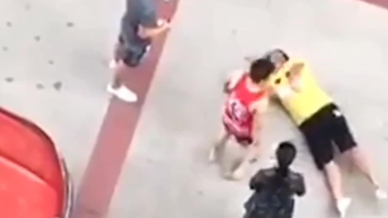 Bully Pays The Ultimate Price