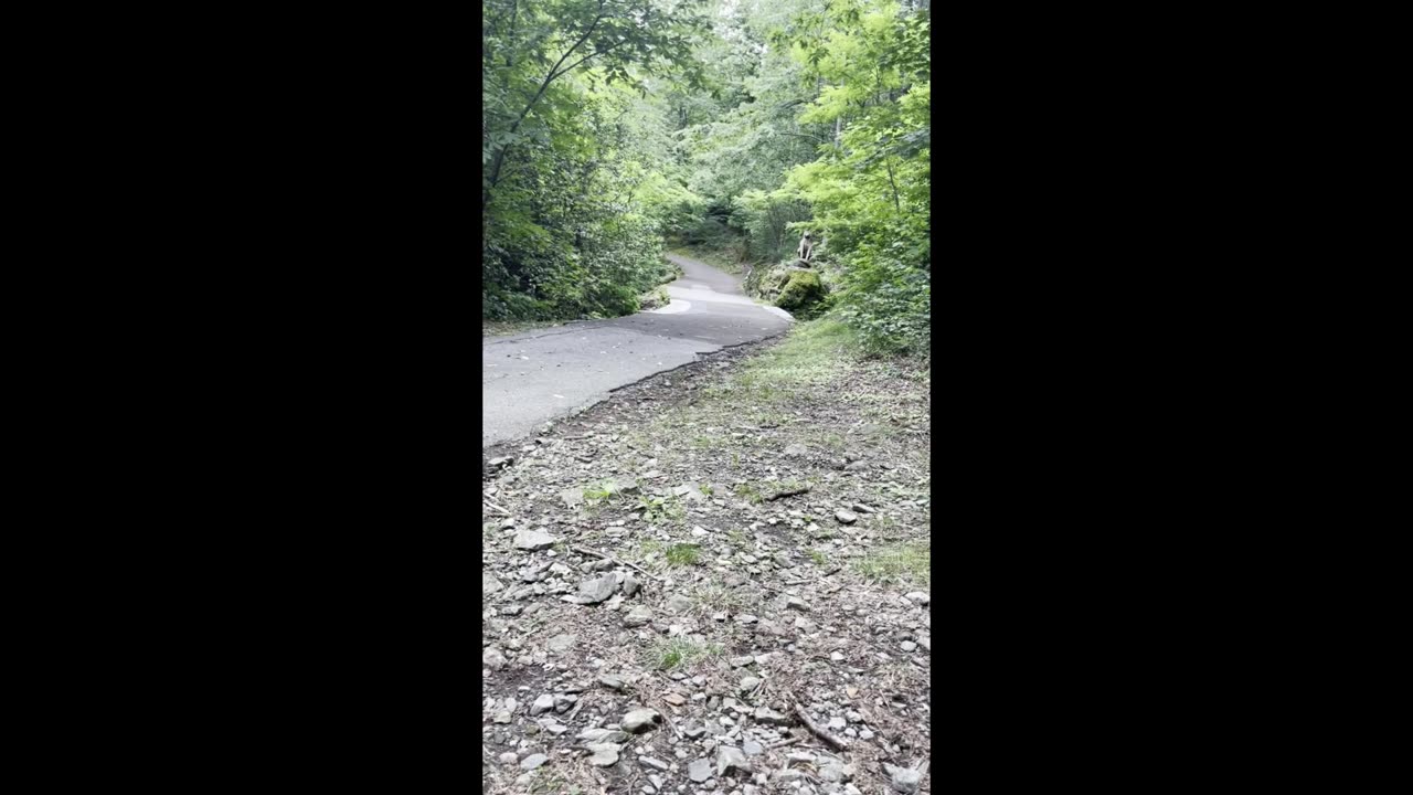 сделать перерыв