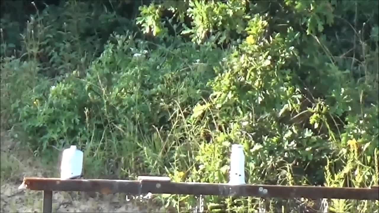Sight 7mm08 @ 100 Yards & Half Pound of Tannerite