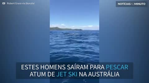 Pescador é cercado por dezenas de tubarões na Austrália