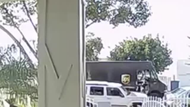 UPS Driver Scared of Doggo