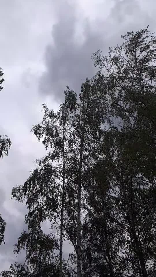 Himmel in Berlin am 24. Mai 2022 so 14 Uhr