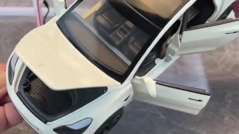 Unboxing Tesla Model from Elon Musk