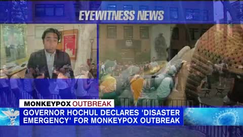 Governor Hochul declares 'disaster emergency' in response to monkeypox