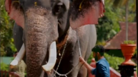 ഭാരത് വിനോദിന് പ്രണാമം..