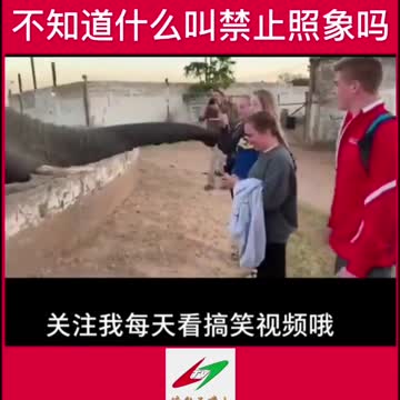 I said it’s forbidden to take pictures