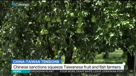 Chinese sanctions squeeze Taiwanese fruit and fish farmers