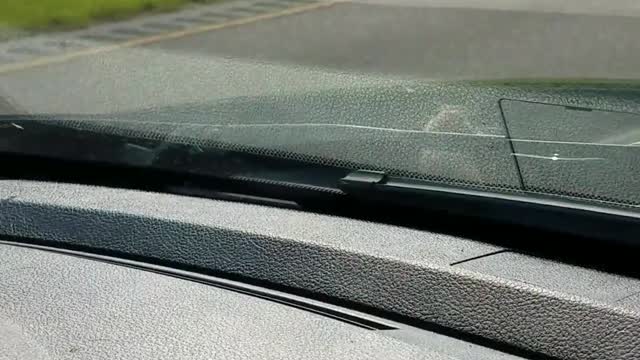 Mouse Hitchhiker Rides on Hood