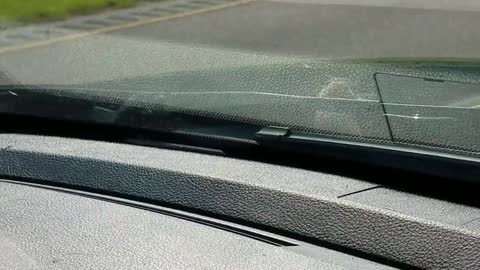 Mouse Hitchhiker Rides on Hood