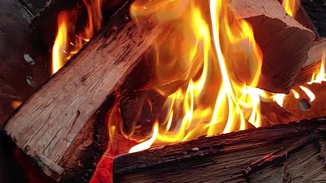 A calming video 2