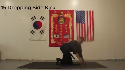 Tong Hap Kwan Hapkido Kicking Techniques