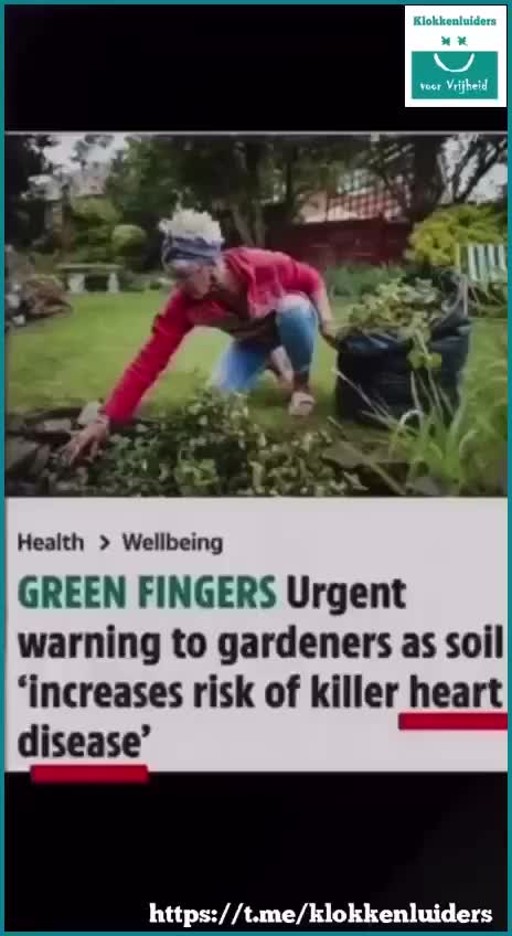 Welcome to clown world