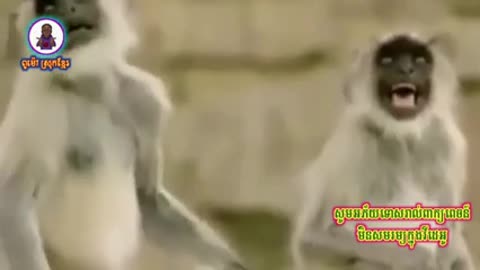new🤓🤓🤓😎😎😎😬😬😬😚🥰😁😄😃😢😟🤬😥😮😧😢😯👄👅👆🤞👇 funny comady video 2022