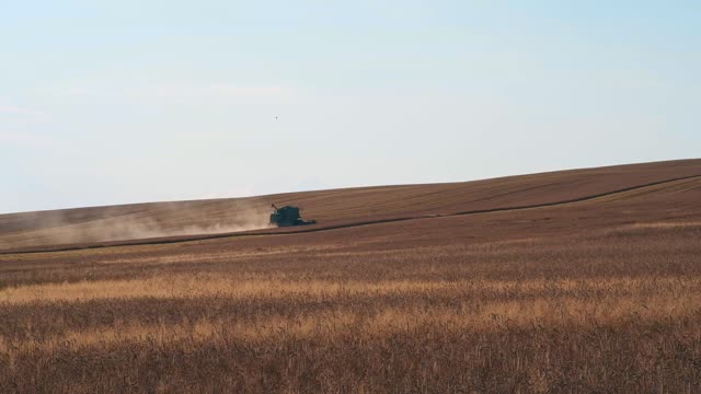 What amazing video #shorts,well selected by teriTV for you -enjoy-don’t forget to give me rumble.