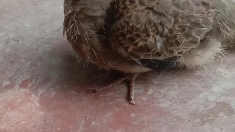 He lost his mother in a storm