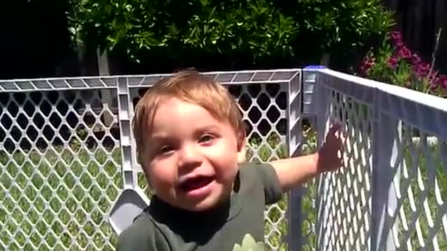 Baby Laughing - Hilarious Video