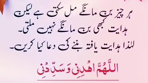 Allah bless you ❤️