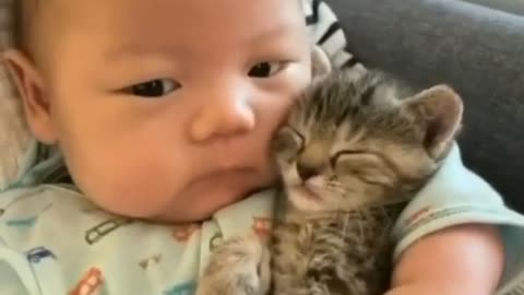 baby and cat fun and cute video