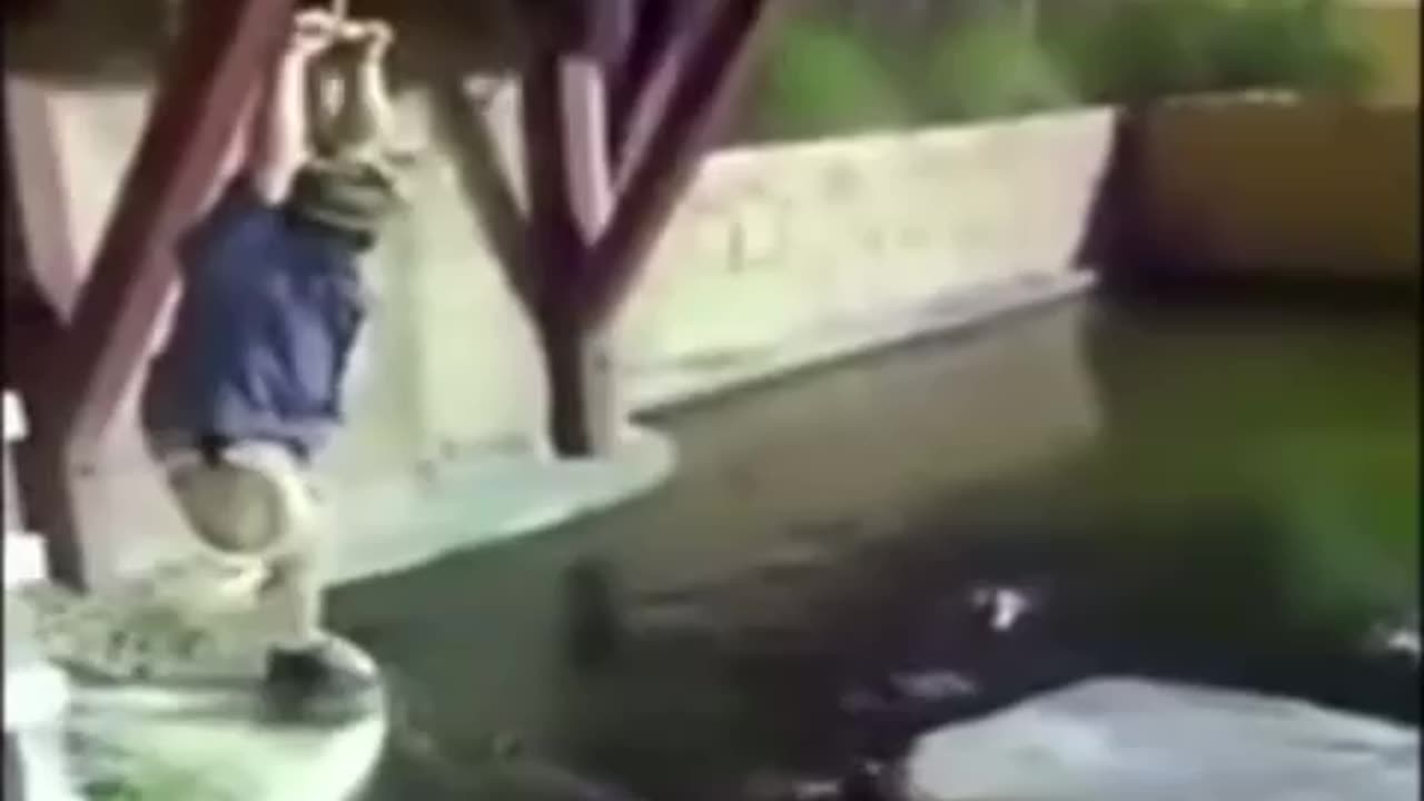 funny video