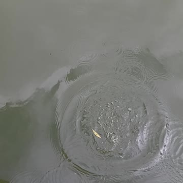 Micro largemouth bass