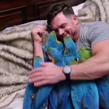 When beautiful parrots sleep with me in bed