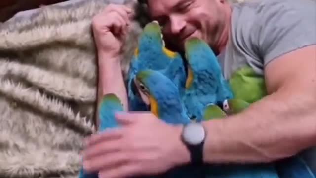 When beautiful parrots sleep with me in bed