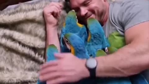 When beautiful parrots sleep with me in bed