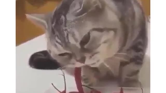 Такие вкусные So delicious