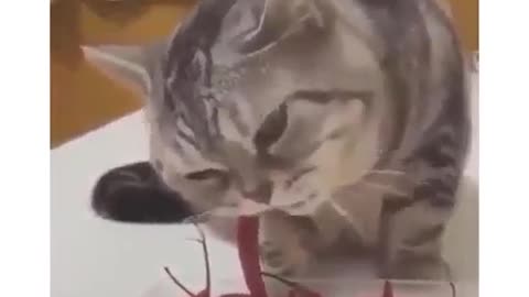 Такие вкусные So delicious