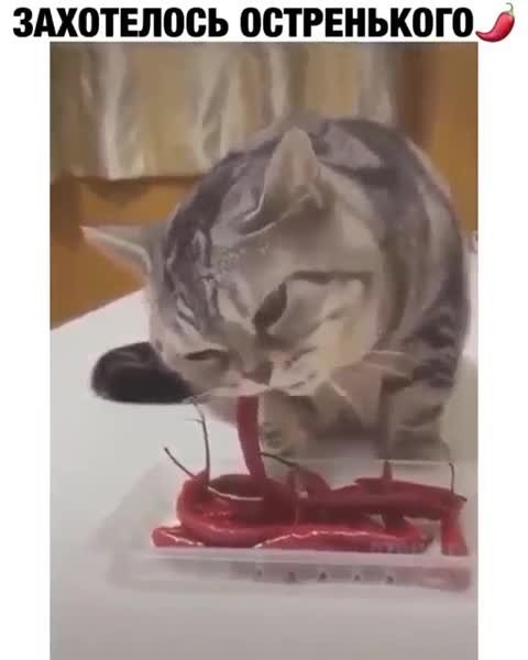 Такие вкусные So delicious