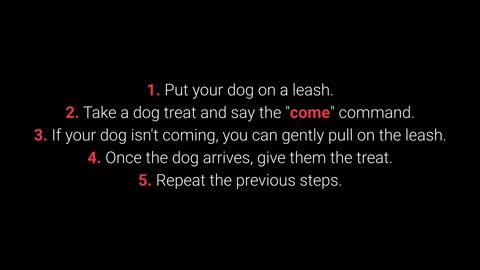 Brain training for dogs