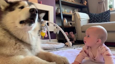 Giant Dog Want to Play With Baby (Cutest Video Ever)