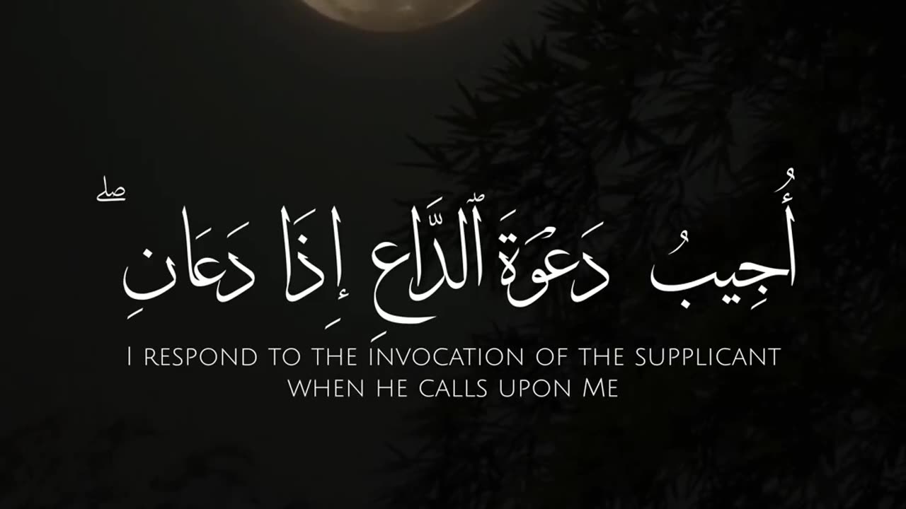 Quran e kareem 💚