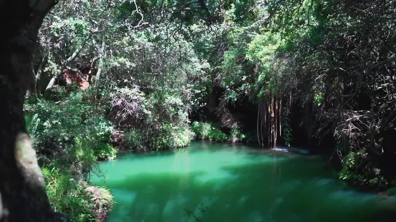 A Beautiful Lake Hidden In A Forest