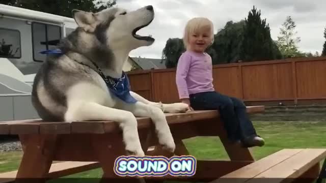 Funniest video, fun of the 2022 funny dog and baby