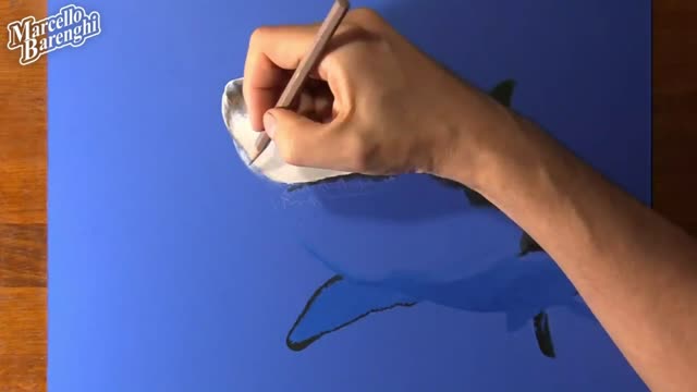 Draw The Color Of Shark Mouth