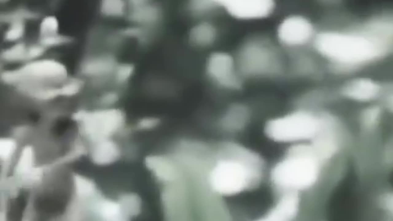 5Scary Video