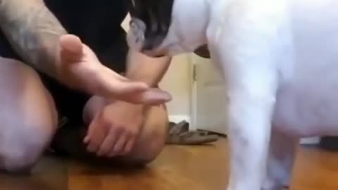 The dog did not expect such a trick