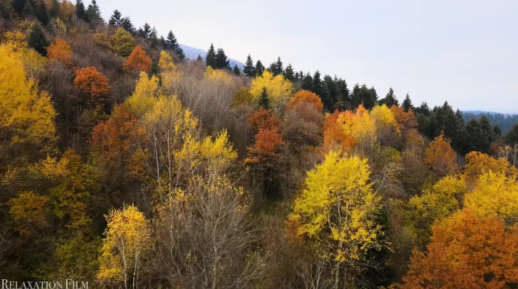 Eyebrow like crescent.xHpaUb