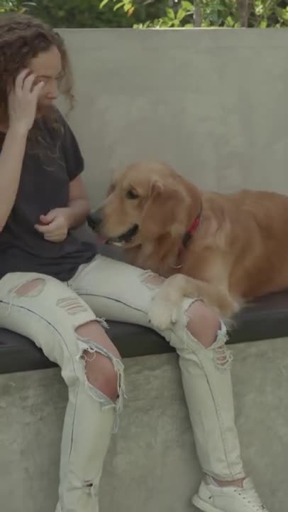 Funniest and Cutest Dog training New #Shorts, #71