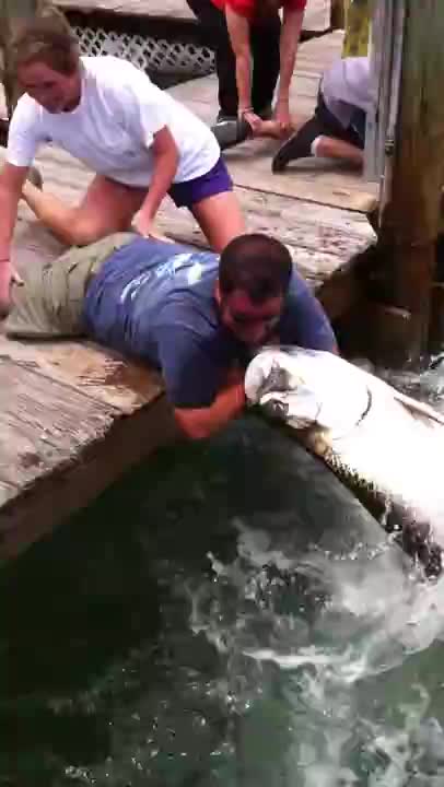 Fish Grabs Man's Arm! (THE Original Video) - Tarpon Smackdown