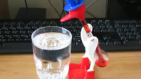 How does the drinking dunking bird work?